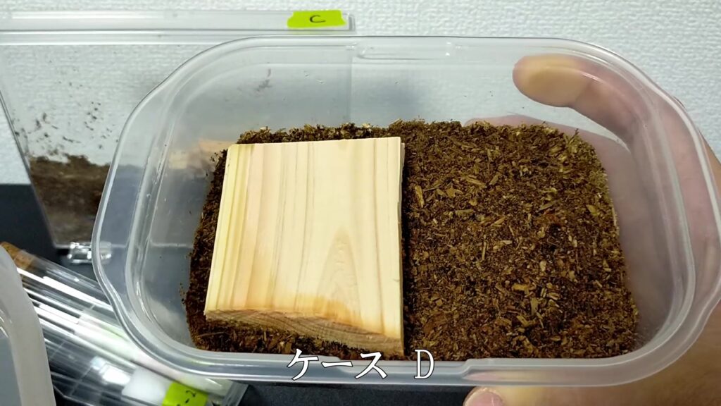 飼育ケースD