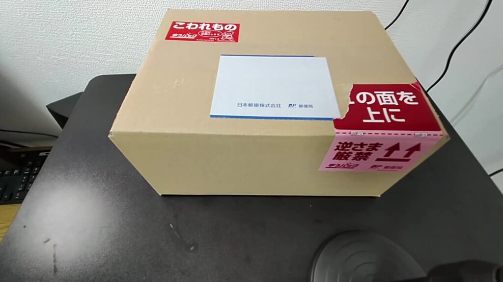 イエシロアリ到着