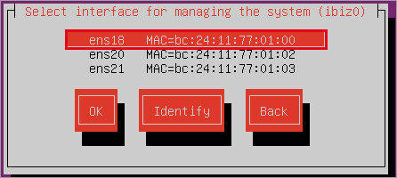 ibiz0 の NIC