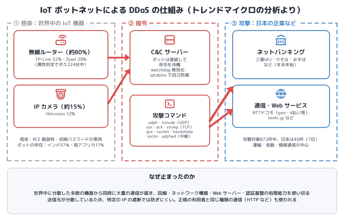 IoT ボットネットによる DDoS の仕組み