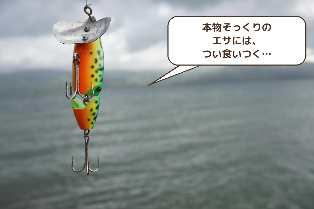 本物そっくりのエサ