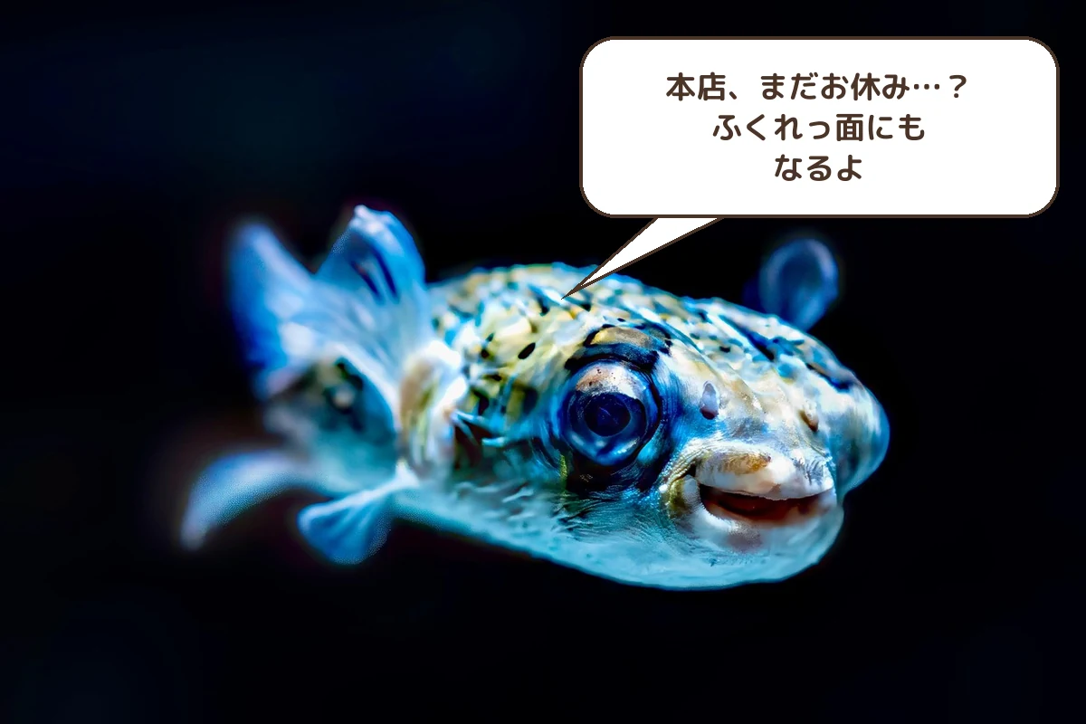 本店、まだお休み…?