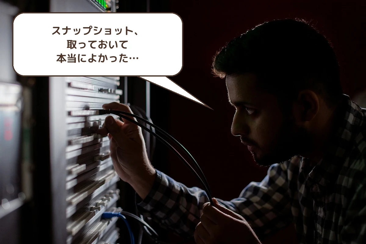 スナップショット、取っておいて本当によかった…